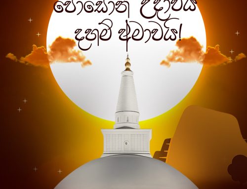 පින්බර පොසොන් පොහොය දිනයක් වේවා